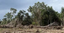 Ante el auge inmobiliario y la contaminación de granjas, Yucatán impulsa nuevo modelo de conservación ambiental