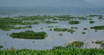 Reforma a Ley General de Aguas va tras concesiones irregulares y sube sanciones