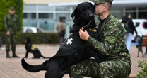 Lomitos terapeutas ayudan a soldados heridos a sanar en hospital de Colombia
