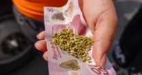 Cofepris acatará orden de la Corte para garantizar la emisión de permisos de uso lúdico de la marihuana