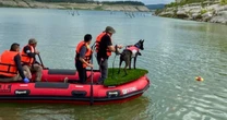 Perros mexicanos entrenados buscan a desaparecidos en inundaciones de Texas
