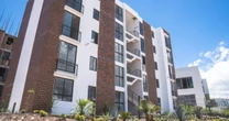 Casas de 60 m² con crédito accesible: así serán las Viviendas para el Bienestar