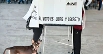 Ubica las casillas especiales 2025: ¿Cómo votar en otro estado?