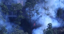 La sequía y los incendios acaban con los bosques en México
