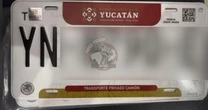 Reemplacamiento en Yucatán, estos autos están obligados a realizarlo