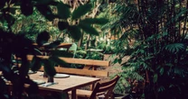 La dieta de las plantas: el auge de la alimentación plant-based en México