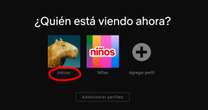 ¿Cómo saber quién usa mi cuenta de Netflix?