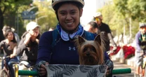 CDMX reconoce a los animales como seres sintientes
