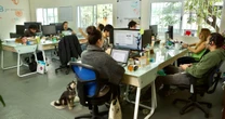 El uso sin control de IA eleva costos y obliga a las empresas a poner límites