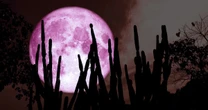 Cuándo y dónde se podrá ver la luna de fresa 2025