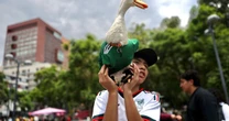 ¿Qué puedes registrar ante el IMPI y qué no? Las lecciones del Pato Merlín del Mundial