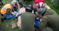 Profepa confirma la muerte del tigre Kenzo durante operativo para capturarlo en el Estado de México