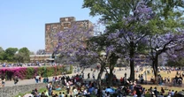 ¿Cuándo regresa a clases la UNAM y el IPN? Estas son las fechas del calendario