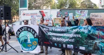 Tras protesta, Semarnat reitera que “Perfect Day” no será aprobado y afirma que Royal Caribbean desistió