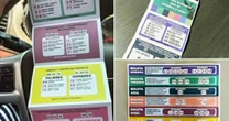 El INE busca frenar distribución de “acordeones” a días de la elección judicial