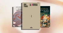 ¿Qué leer este verano? Acá 5 novelas perfectas para disfrutar en vacaciones