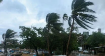 Se activa el Plan Marina ante el paso de las tormentas “Priscilla” y “Raymond”