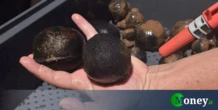 Diamanti «insanguinati» scoperti nell’oceano, presto ne saranno estratte decine di tonnellate