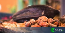 Crolla il prezzo del cacao, è la fine di un boom di 10 anni. Ma al supermercato il prezzo non scende