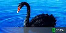 Tutti i cigni neri che mettono a rischio l’economia mondiale. Sono tantissimi