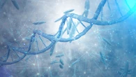 Zura Bio sotto i riflettori. Perché il mercato guarda ai prossimi dati clinici