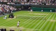 Montepremi Wimbledon 2026, il prize money di chi vince (e di chi partecipa)