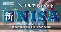 新NISAの成長枠で個別株は投資するべきのか…億り人への登竜門に「何を買ったらいいのか」