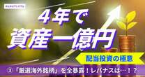 約4年で資産1億の注目個人投資家、「厳選海外銘柄」を全暴露！レバナスも「資産の一部であればアリ」なワケ