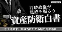 資産防衛のために円以外の通貨を持つ選択肢…王道の米ドル以外にもある魅力的な通貨の選び方