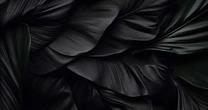 ずばり、練習着の「黒」が好き、三毒様が好き･･･私の思う羽生結弦の色「黒」