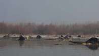 Pescadores utilizan en Srinagar un método único de camuflar su presencia para atraer a los peces