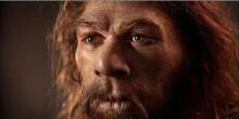 Los neandertales se extinguieron hace 40.000 años, pero nunca antes ha habido más ADN suyo que hoy