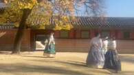 Turistas y locales disfrutan de la estampa colorida que deja el otoño en el Palacio Gyeongbokgung en Seúl