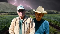 The $1,600 lettuce: California growers warn of ‘master plan’ strangling family farms