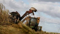 Coca-Cola's sugarcane shift: States that could benefit from the beverage giant's latest move