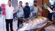 Massive tuna sells for $1.3M at Japan auction