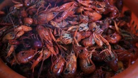 Louisiana drought, cold weather could make crawfish harvest worst on record