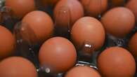 Nationwide egg shortage has shoppers turning to Facebook Marketplace