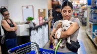 PetSmart's only San Francisco store set to close as online shopping and same-day delivery reshape pet retail