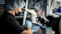IVF: The financial burden families could face