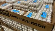 Egg purchase restrictions take effect at more major US grocery stores