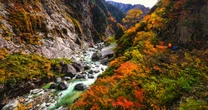 じつは、富山の「黒部川は、佐渡の先まで続いている」って、知ってた…？　さらに、八ヶ岳の水も、南海トラフに流れ込んでいる事実。「海底谷」の、ものすごいスケール
