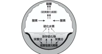 インフラ危機を招く「硫酸による侵食」とは？ 下水道管に穴が開き大事故につながる可能性