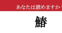 【難読漢字】「鰆」って読めますか？ 春の訪れを知らせてくれる魚