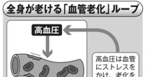 高血圧の人は老けて見える「意外な理由」…じつは血管年齢の老化が体に影響を与えていた