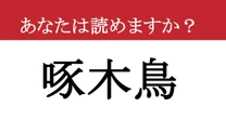 【難読漢字】「啄木鳥」って読めますか？ あの鳥です！