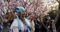 なぜコスプレイヤーは炎上を繰り返すのか…「二次創作のマナー問題」と「SNSで肥大化する承認欲求」から見えてくる根深い対立構造