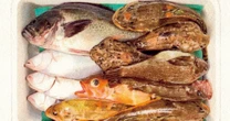 未利用魚の有効活用も！環境保全＆応援につながる「おいしい食材リスト」