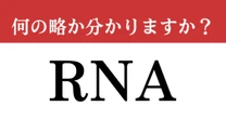 【難解略語】「RNA」が何の略か分かりますか？　生物基礎で習った知識…