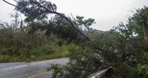 猛暑が引き起こす「いきなり台風」がヤバい…！「発生から２時間で本州上陸」そのとき日本に起きること